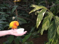 IMG9215_Zn.jpg