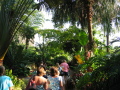 IMG9234_Zn.jpg