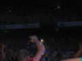 IMG9584_Zn.jpg