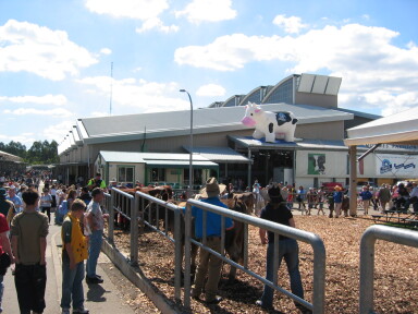 img3722_Zn.jpg