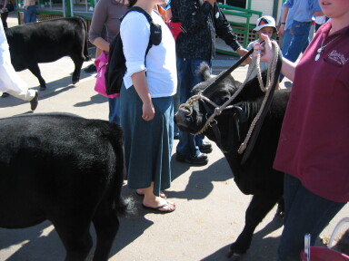 img3724_Zn.jpg