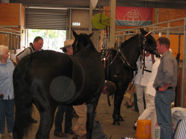 img3725_Zn.jpg