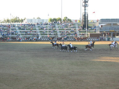 img3752_Zn.jpg