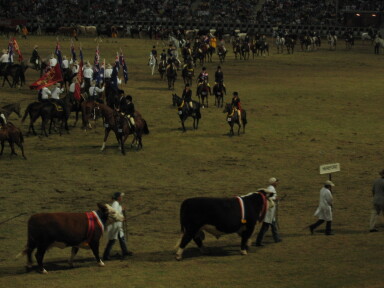 img3769_Zn.jpg