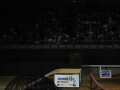 img3792_Zn.jpg