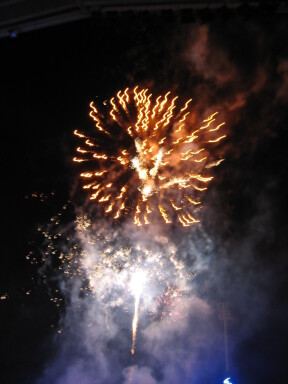 img3825_Zn.jpg