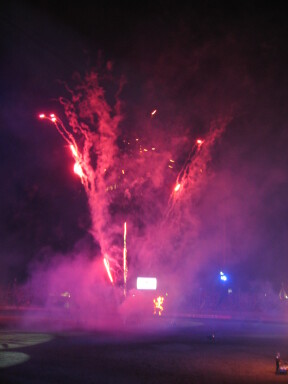 img3838_Zn.jpg