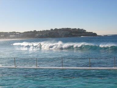 img3974_Zn.jpg