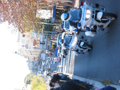 img3996_Zn.jpg