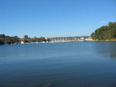 img4008_Zn.jpg