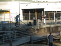 img4011_Zn.jpg