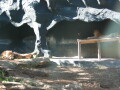 img4068_Zn.jpg