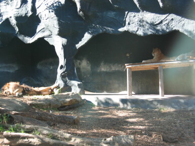 img4068_Zn.jpg
