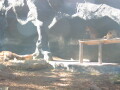 img4069_Zn.jpg