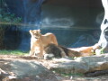 img4071_Zn.jpg