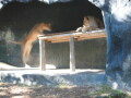 img4072_Zn.jpg