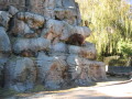 img4078_Zn.jpg