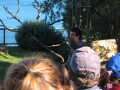img4081_Zn.jpg