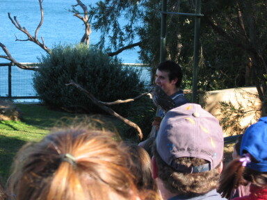 img4081_Zn.jpg