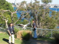 img4084_Zn.jpg