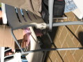 img4090_Zn.jpg