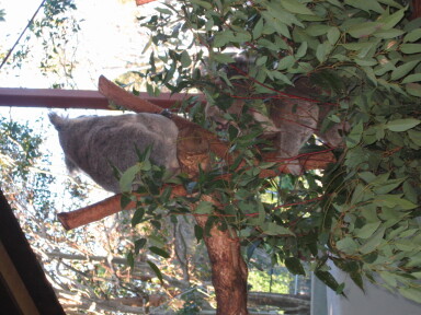 img4098_Zn.jpg