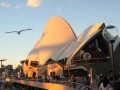 img4116_Zn.jpg
