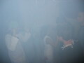 img4209_Zn.jpg