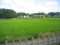 img4290_Zn.jpg