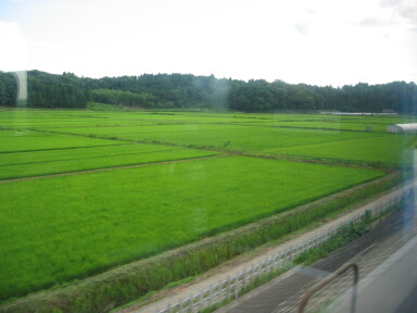 img4291_Zn.jpg