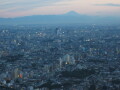 img4320_Zn.jpg