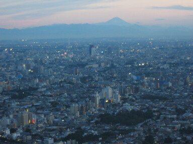 img4320_Zn.jpg