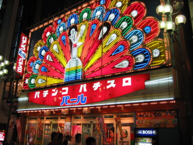 img4336_Zn.jpg