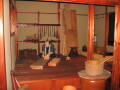 img4345_Zn.jpg