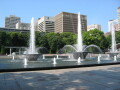 img4367_Zn.jpg
