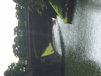 img4372_Zn.jpg