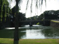 img4375_Zn.jpg