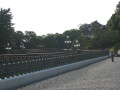 img4377_Zn.jpg
