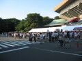 img4381_Zn.jpg