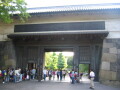img4382_Zn.jpg