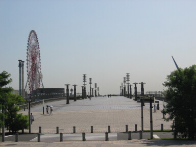img4407_Zn.jpg