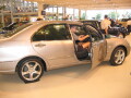 img4413_Zn.jpg