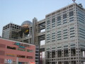 img4451_Zn.jpg