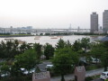 img4458_Zn.jpg
