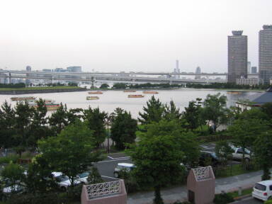 img4458_Zn.jpg