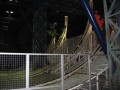 img4463_Zn.jpg