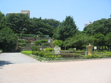img4475_Zn.jpg