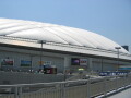 img4477_Zn.jpg