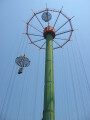 img4487_Zn.jpg