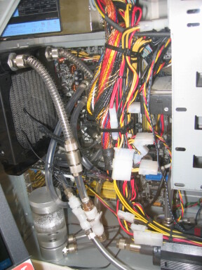 img4497_Zn.jpg